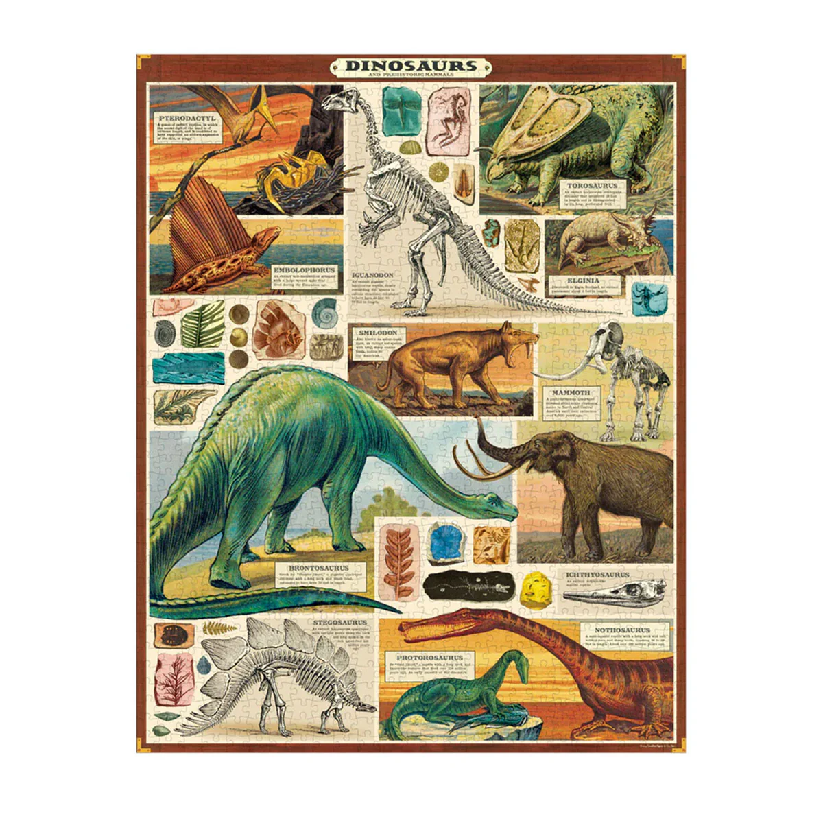 Puzzle Dinosaurs 1000pc - Cavallini - Image 2