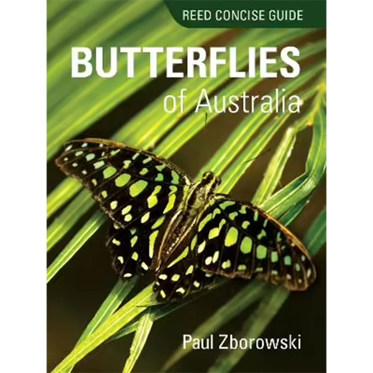 Reed Concise Guide Butterflies of Aust Reed Concise Guide