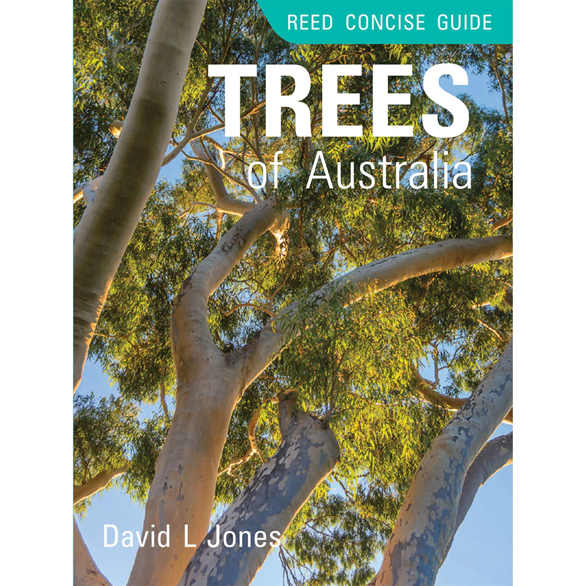 Reed Concise Guide: Trees of Australia