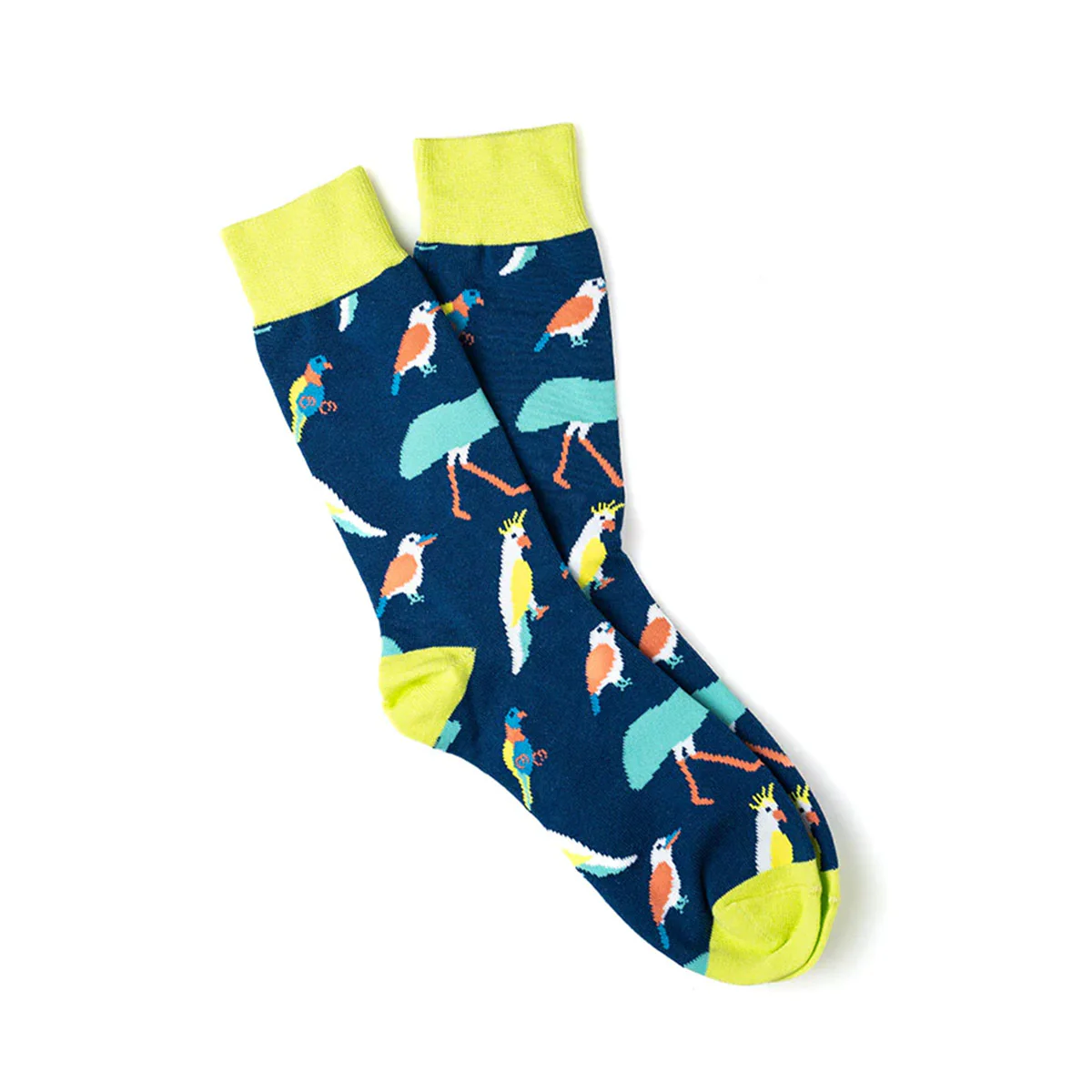 Socks Australian Native Birds Small - Capital Socks