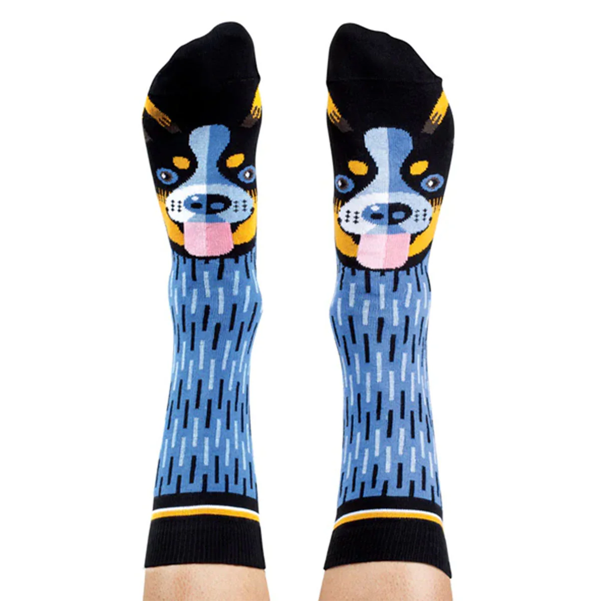 Socks Blue Heeler 8-11 - WilsonPayne Aust