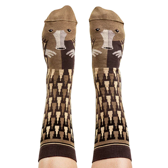 Socks Echidna 8-11 - WilsonPayne Aust