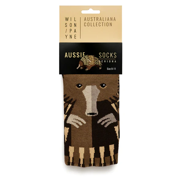 Socks Echidna 8-11 - WilsonPayne Aust - Image 3