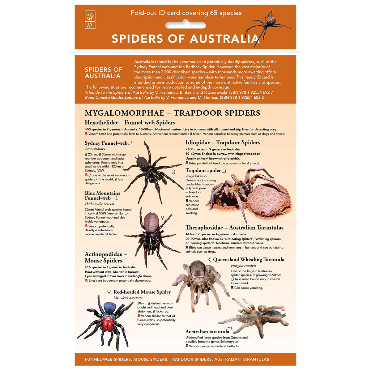Spiders of Australia Fold Out Sheet
