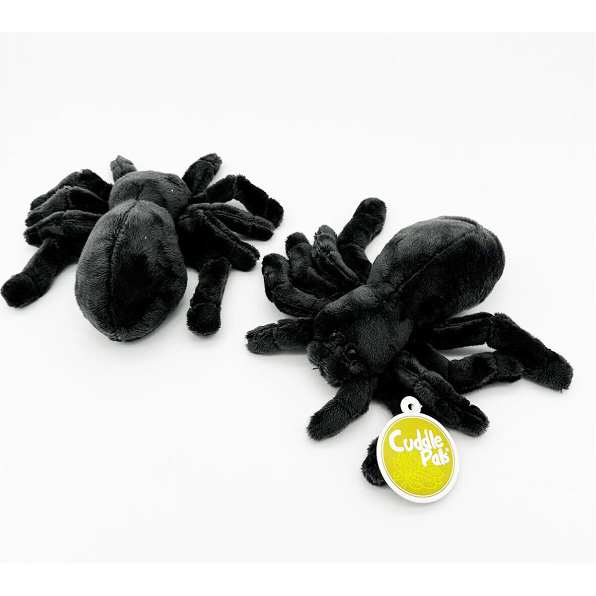 Tarantula Pal Buddy - Jack In The Box