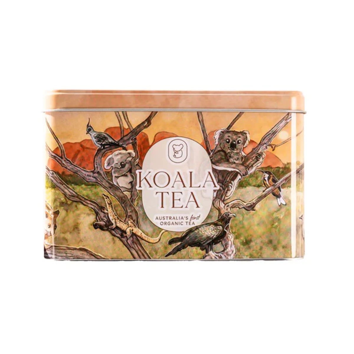 Tea Koala Gift Tin Desert - Koala Tea