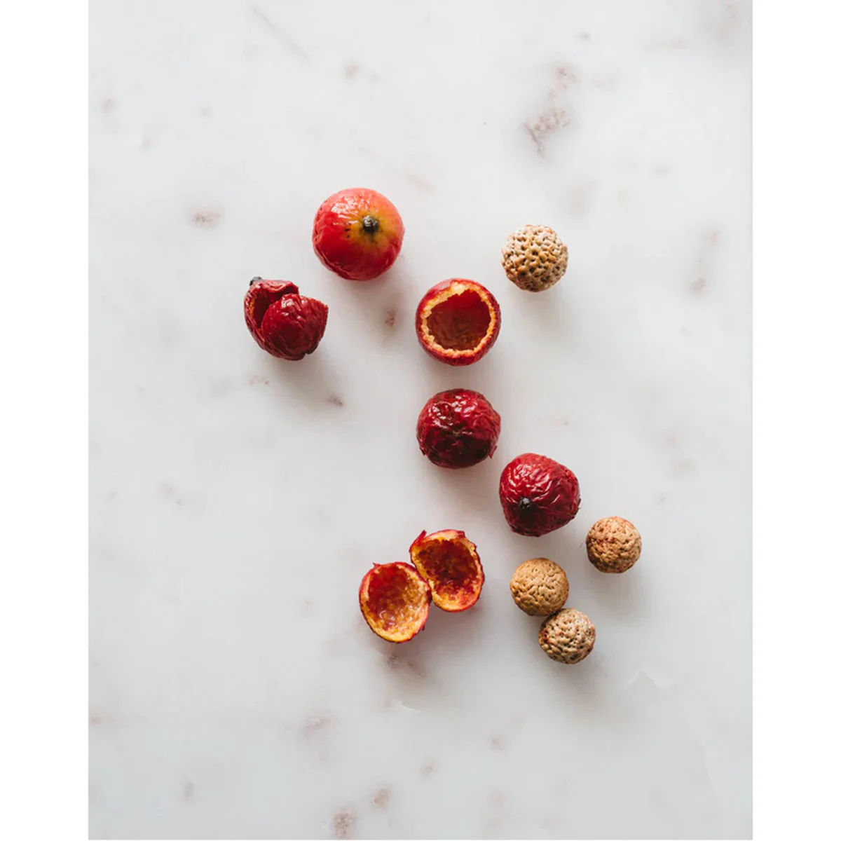 Tea Loose Black Quandong 50g - Warndu - Image 2