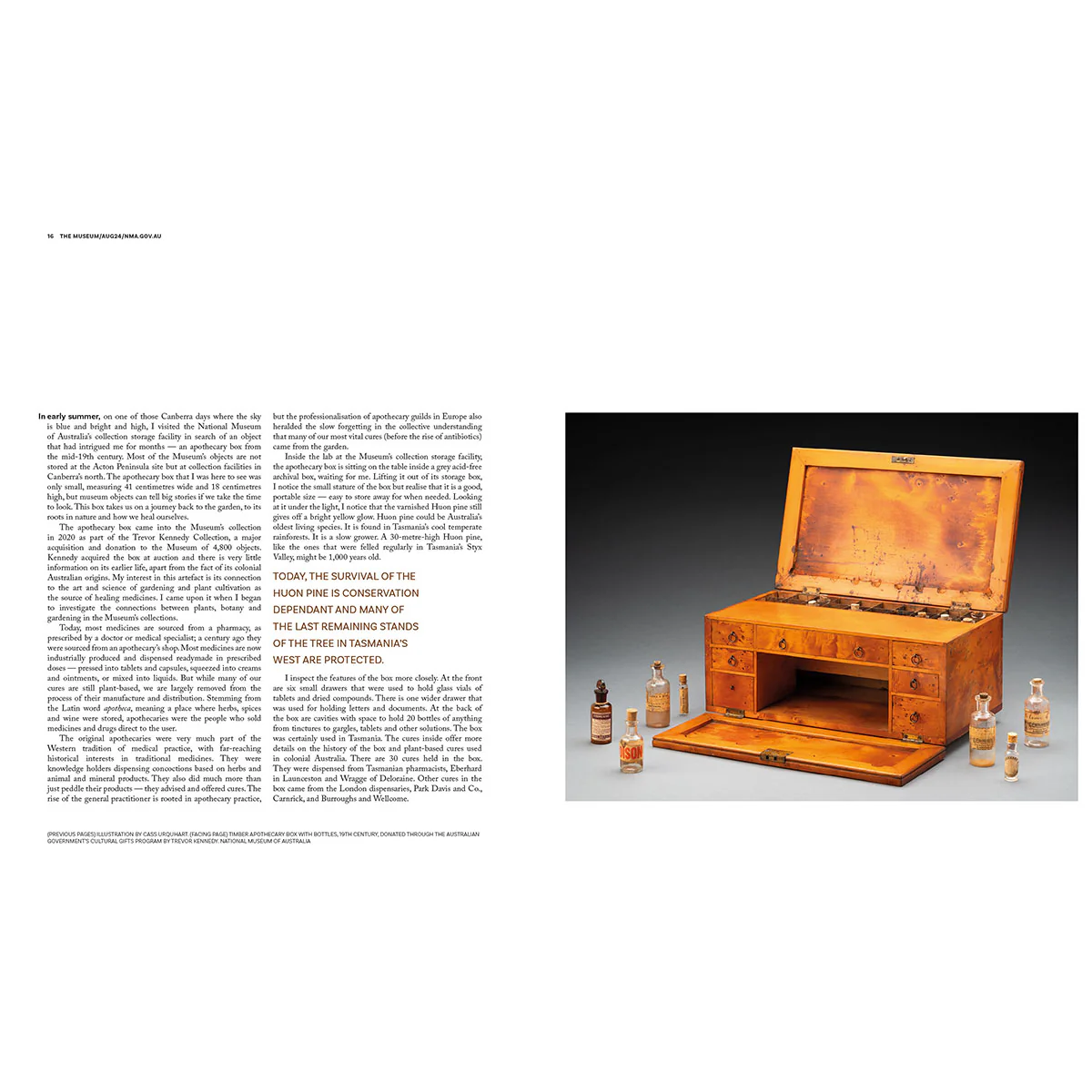 The Museum Magazine 'Garden' Edition 23 Aug24 - Image 4
