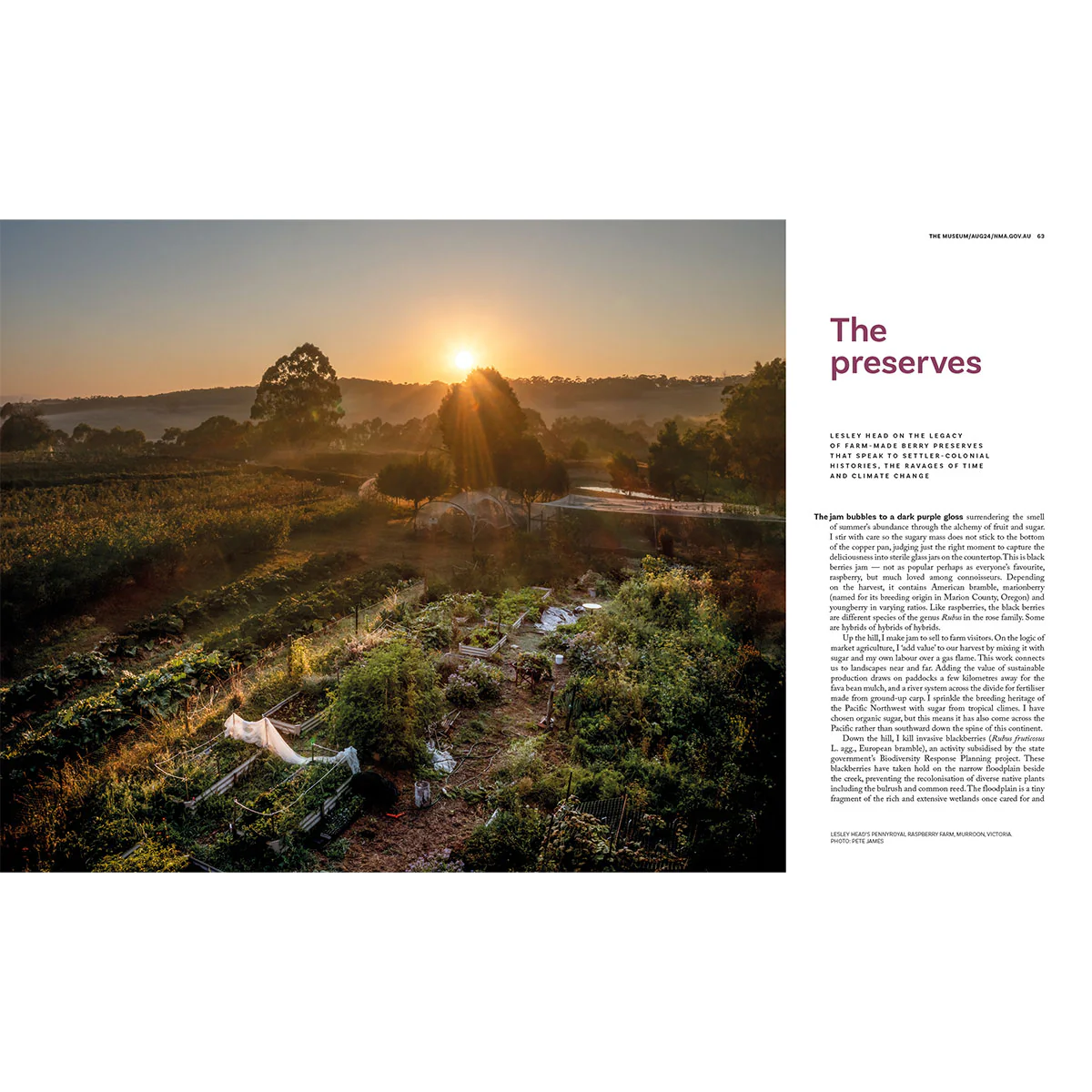 The Museum Magazine 'Garden' Edition 23 Aug24 - Image 7