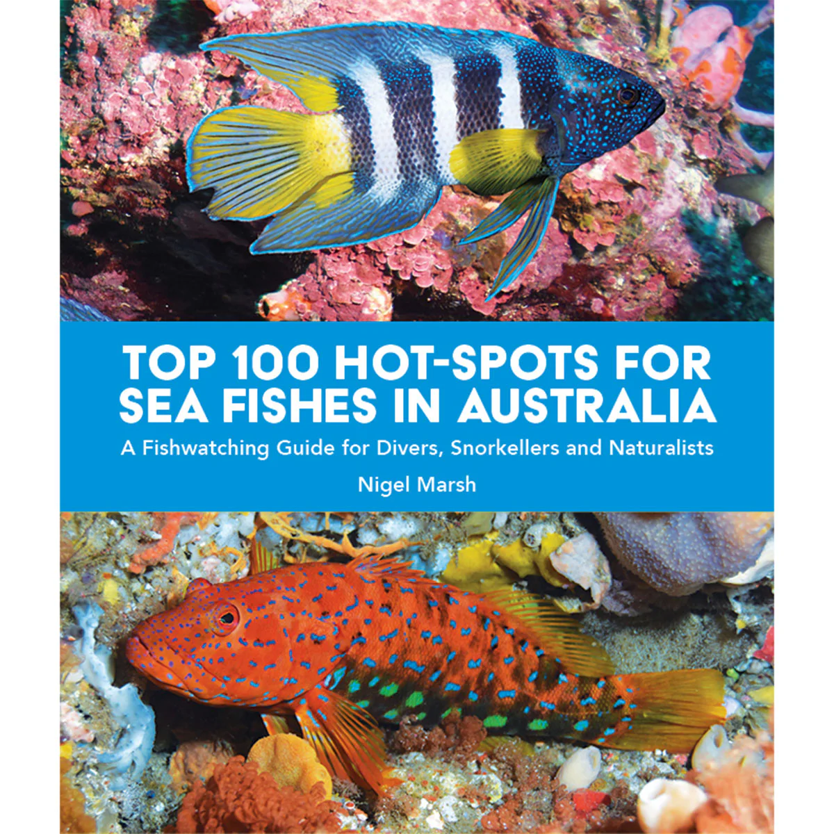 Top 100 Places for Sea Fishes in Australia
