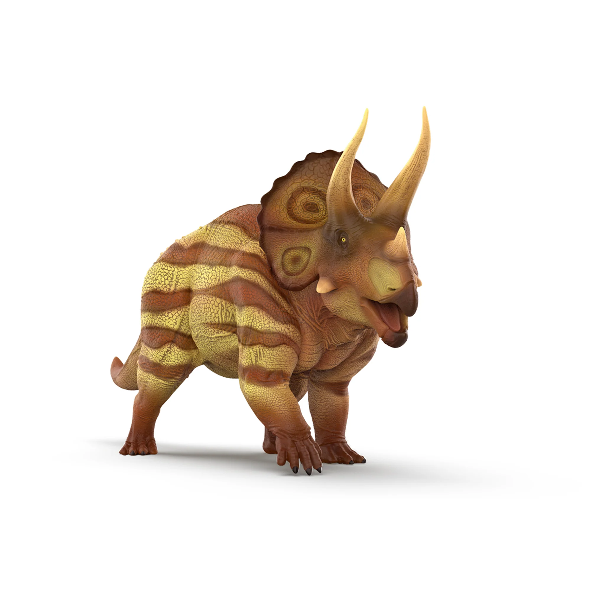 Triceratops Replica Marsh - Science and Nature