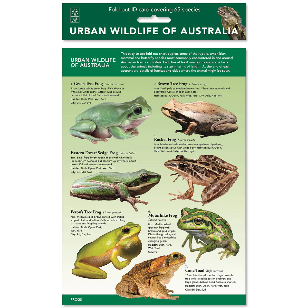 Urban Wildlife of Australia
