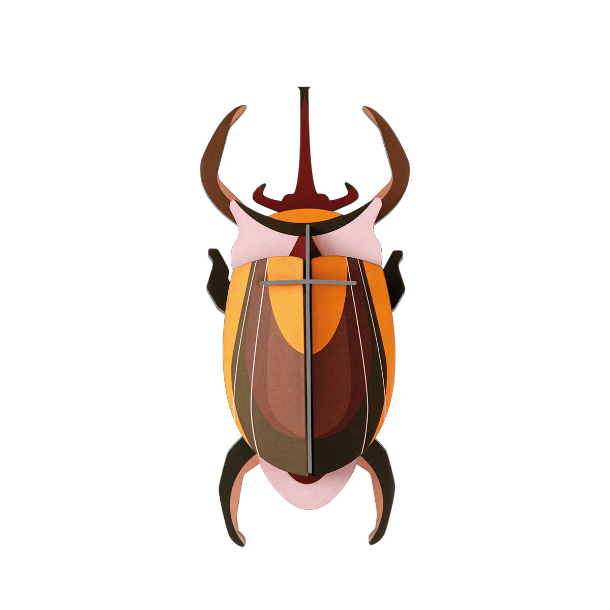 Wall Art Elephant Beetle - Until Pty Ltd - Image 2