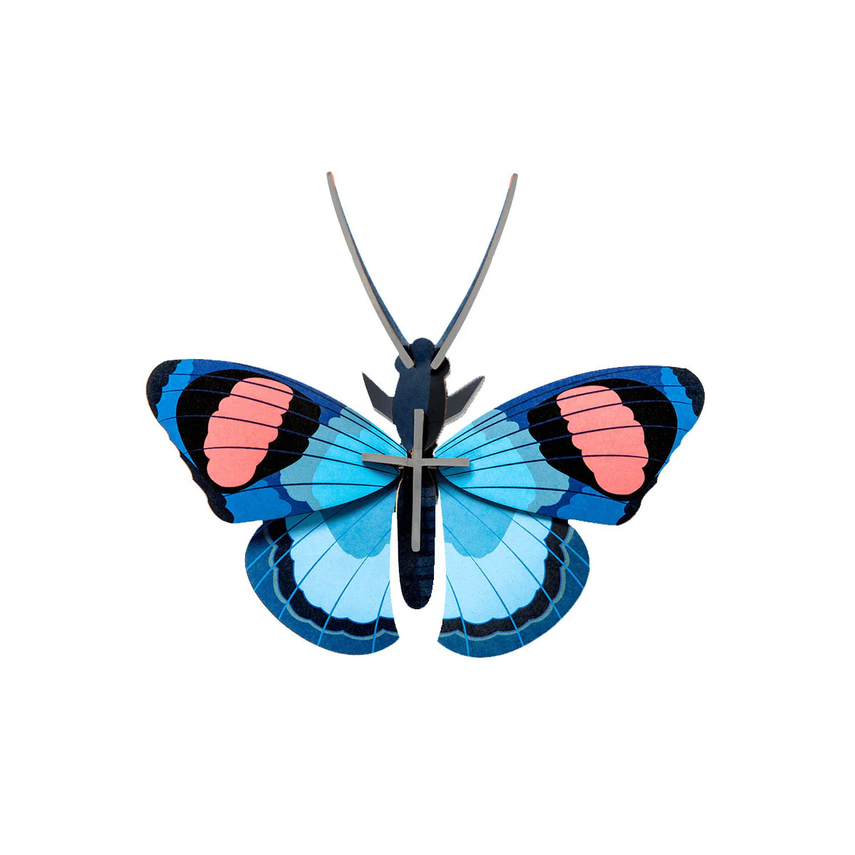 Wall Art Peacock Butterfly - Until Pty Ltd