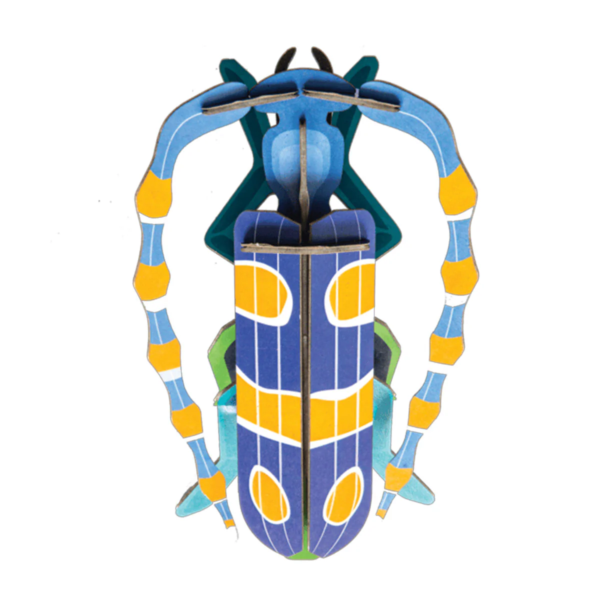 Wall Art Rosalia Beetle - Until Pty Ltd