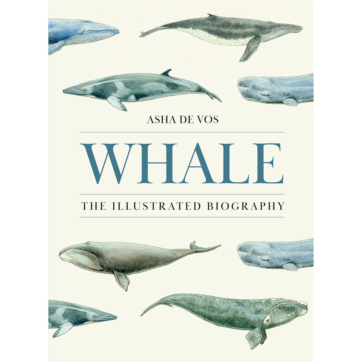 Whale The Illustrated Biography