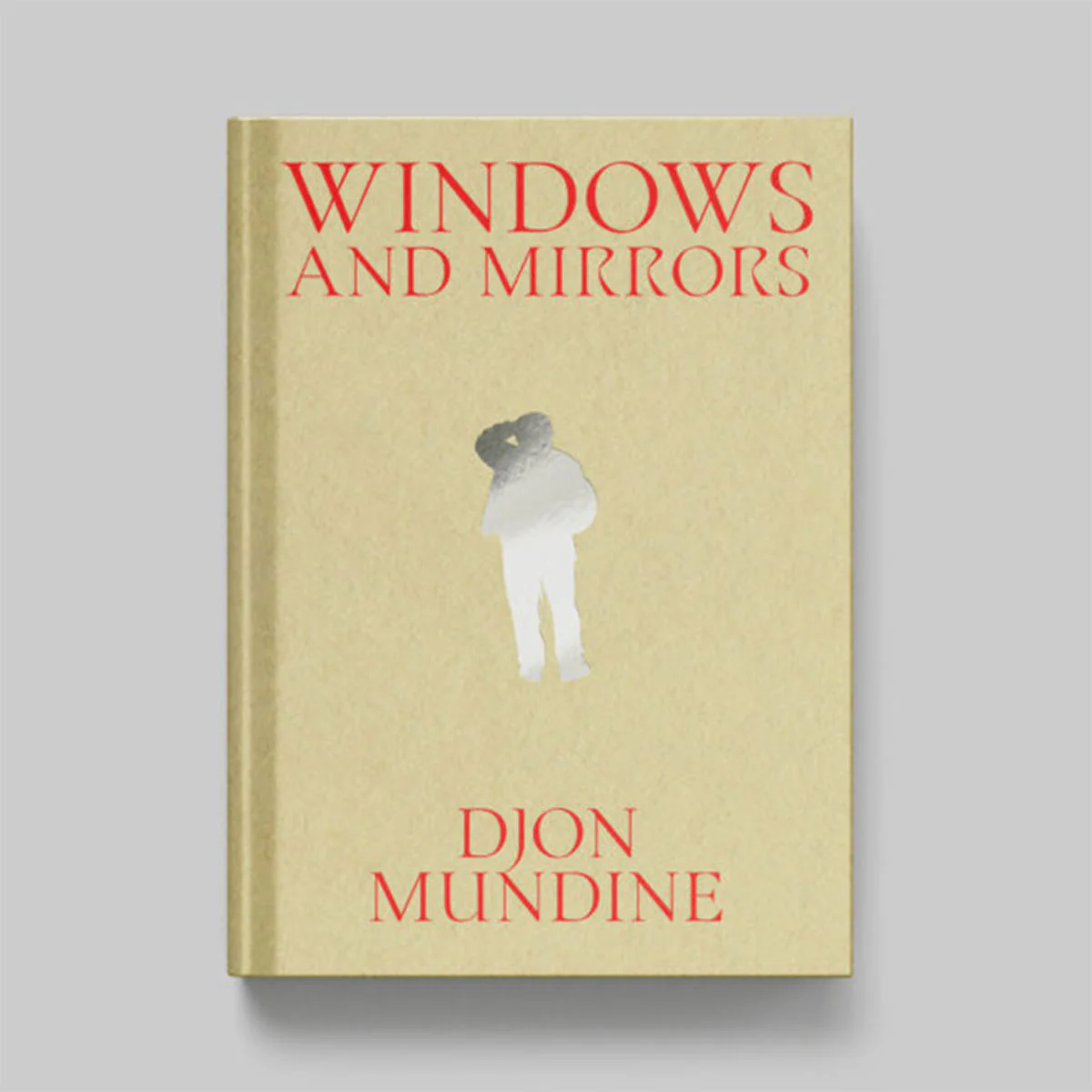Windows & Mirrors