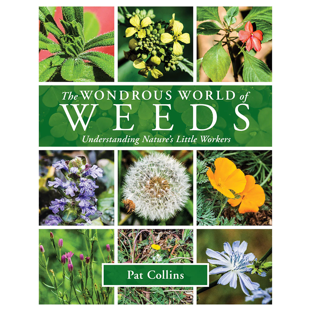Wondrous World of Weeds Understanding Natures Little Workers